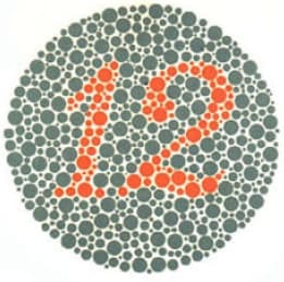 Sample Ishihara plate showing number 12